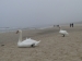 Plaża